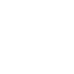Летний лагерь Киви
